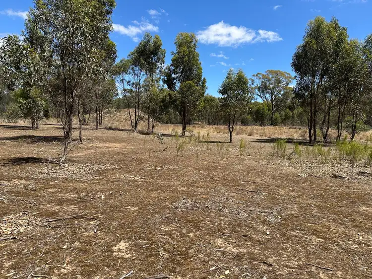 Main view of Homely rural property listing, 206 Williams Road, Carisbrook VIC 3464