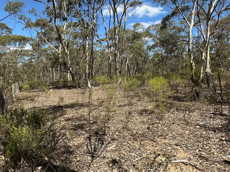 Second view of Homely rural property listing, 206 Williams Road, Carisbrook VIC 3464