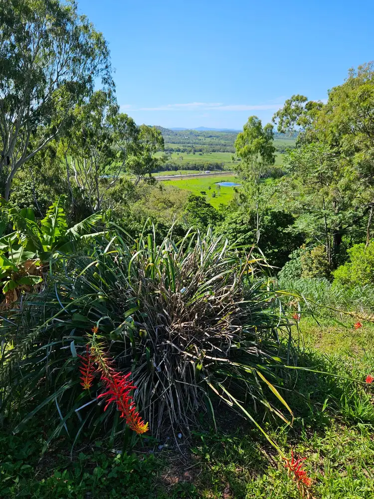 Third view of Homely rural property listing, 53 Wright Road, Grasstree Beach QLD 4740