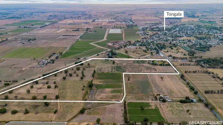 Fifth view of Homely rural property listing, 1813 Finlay Road, Tongala VIC 3621