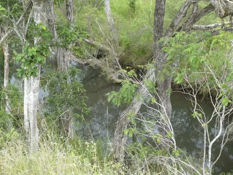 Second view of Homely rural property listing, 105 Foundation Road, Dallarnil QLD 4621
