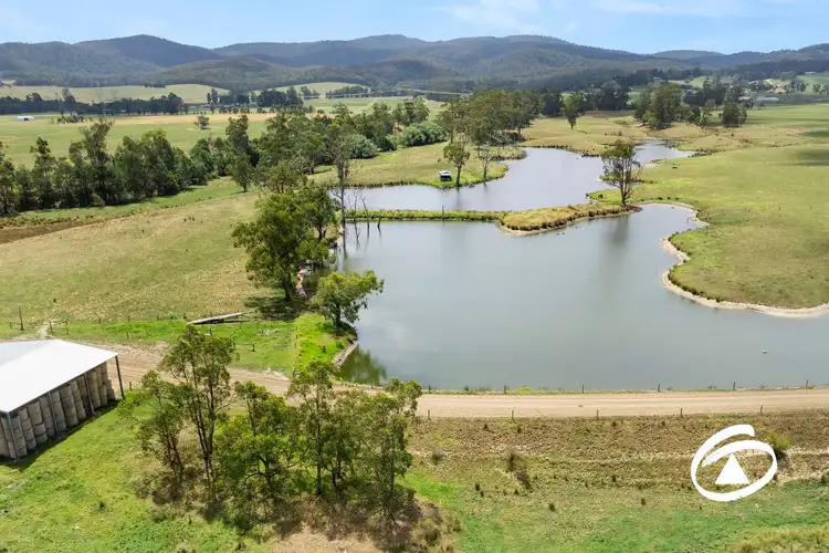 Sixth view of Homely rural property listing, 560 Jacksons Track, Jindivick VIC 3818
