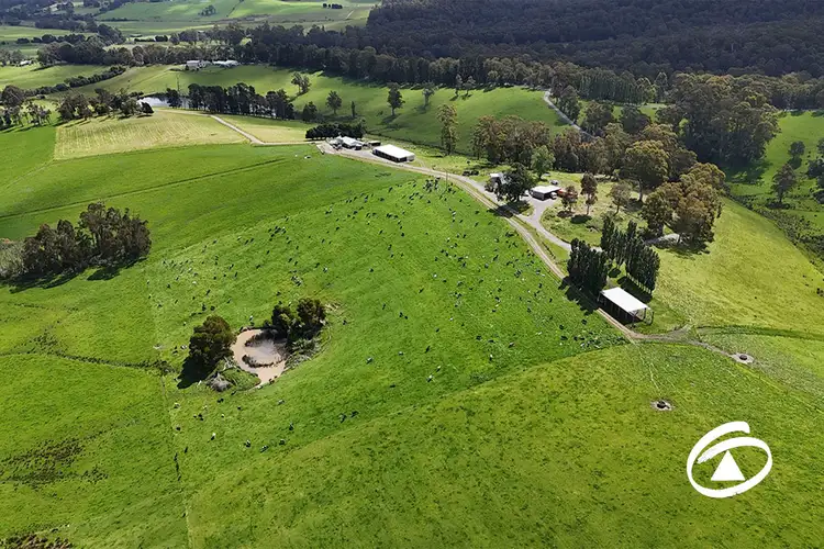 Seventh view of Homely rural property listing, 560 Jacksons Track, Jindivick VIC 3818