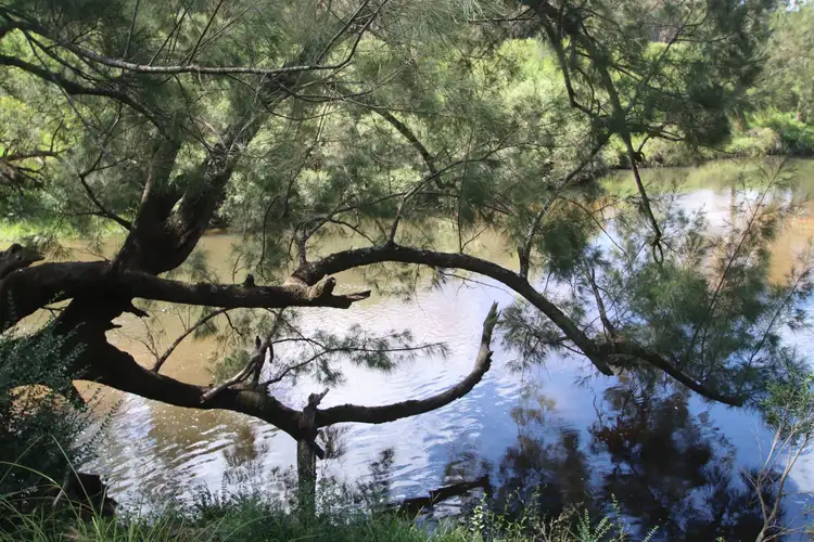 147 Rover Park Road, Tenterfield NSW 2372