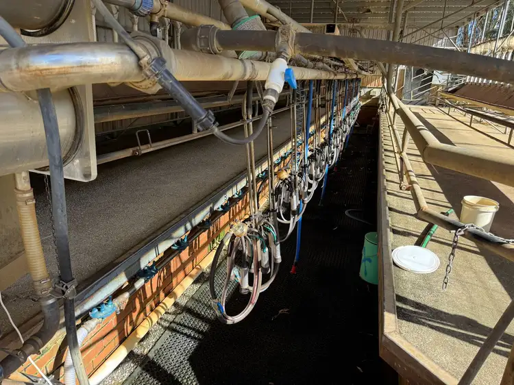 Seventh view of Homely rural property listing, 32 Ahern Road, Koondrook VIC 3580