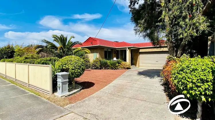 19 Andrew Street