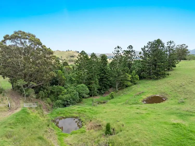 Second view of Homely rural property listing, 0 Border Road, Killarney QLD 4373