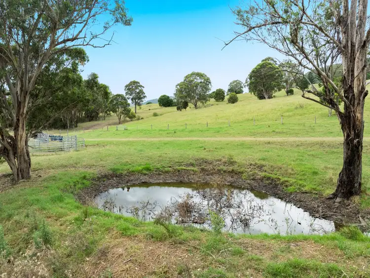 Fifth view of Homely rural property listing, 0 Border Road, Killarney QLD 4373