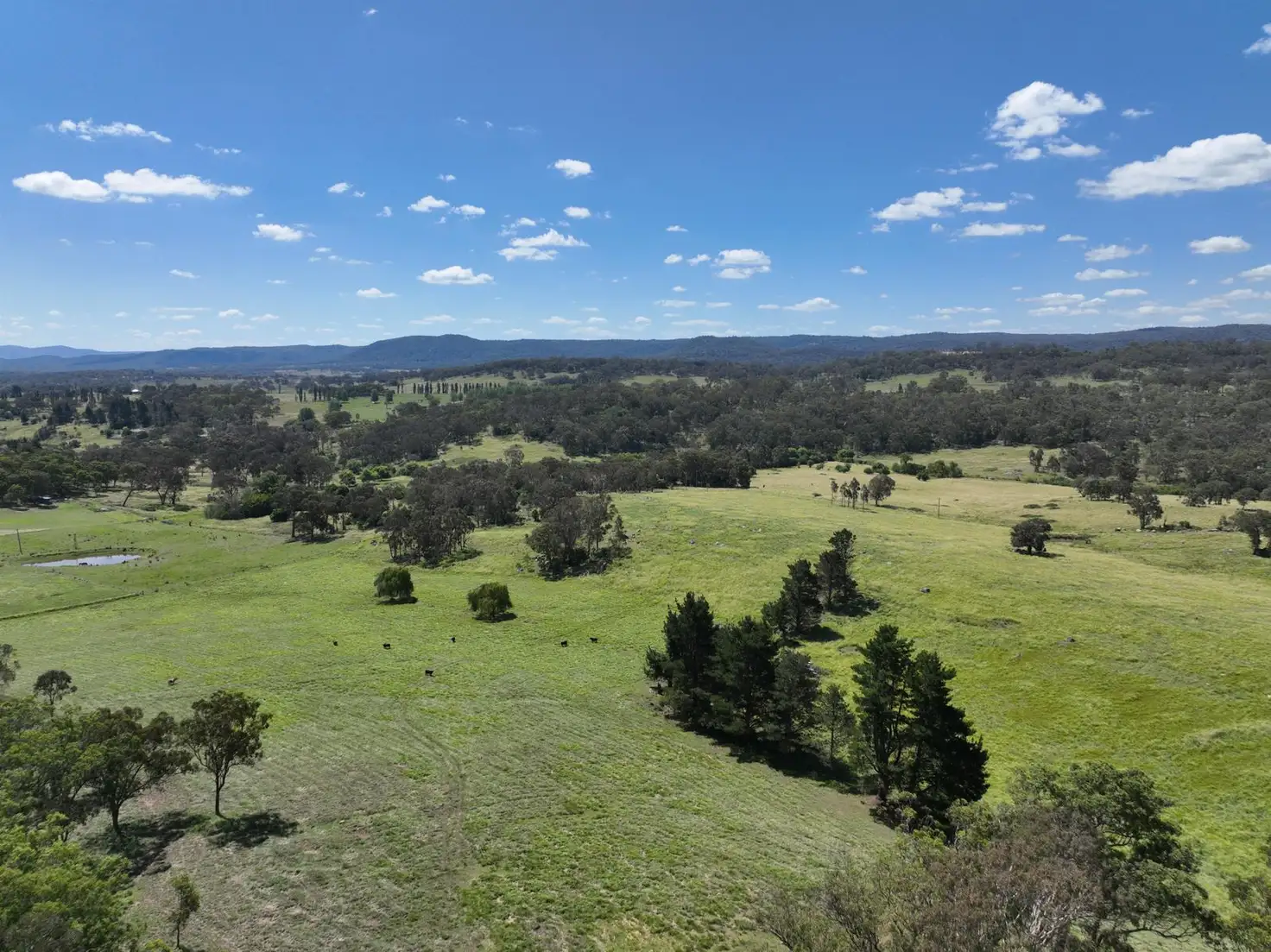 Main view of Homely rural property listing, 409 Mount Lindesay Road, Tenterfield NSW 2372