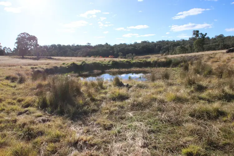 Fourth view of Homely rural property listing, 409 Mount Lindesay Road, Tenterfield NSW 2372