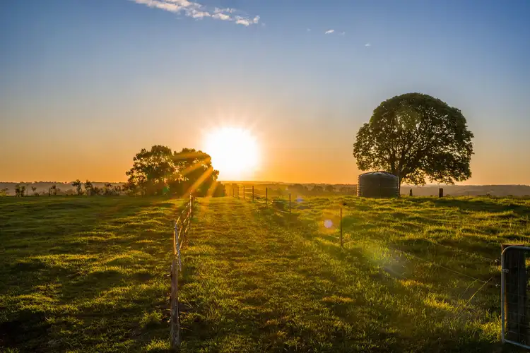 79 Johnston Road, Clunes NSW 2480