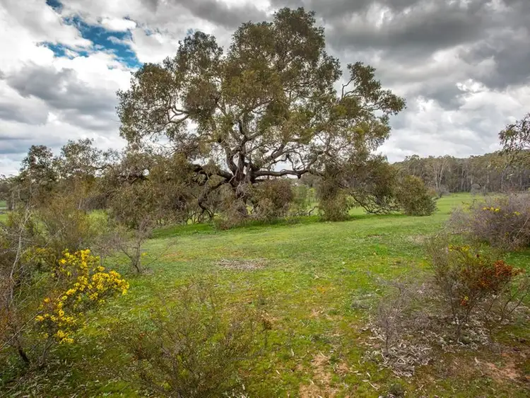 Sixth view of Homely land listing, 362 Mandurang South Road, Mandurang South VIC 3551