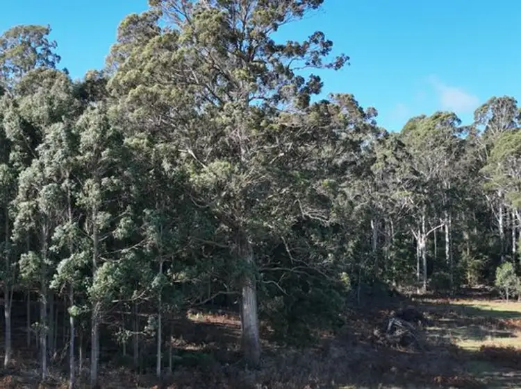 Fifth view of Homely land listing, 90 Samuel Street,, Elizabeth Town TAS 7304