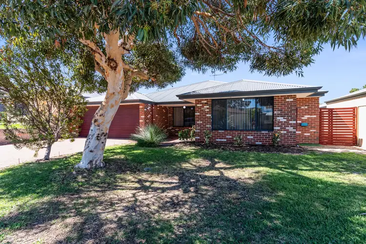 64 Sundowner Meander, Banksia Grove WA 6031