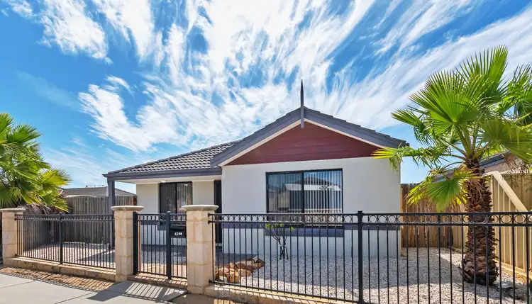 42 Costelloe Gardens, Butler WA 6036