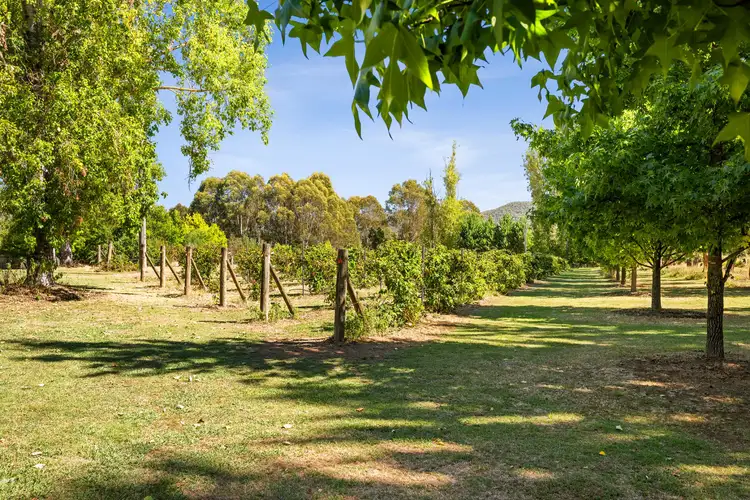 Fifth view of Homely house listing, 6300 Great Alpine Road, Eurobin VIC 3739