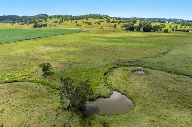 Fourth view of Homely rural property listing, 180 Schielers Road, Tomki NSW 2470