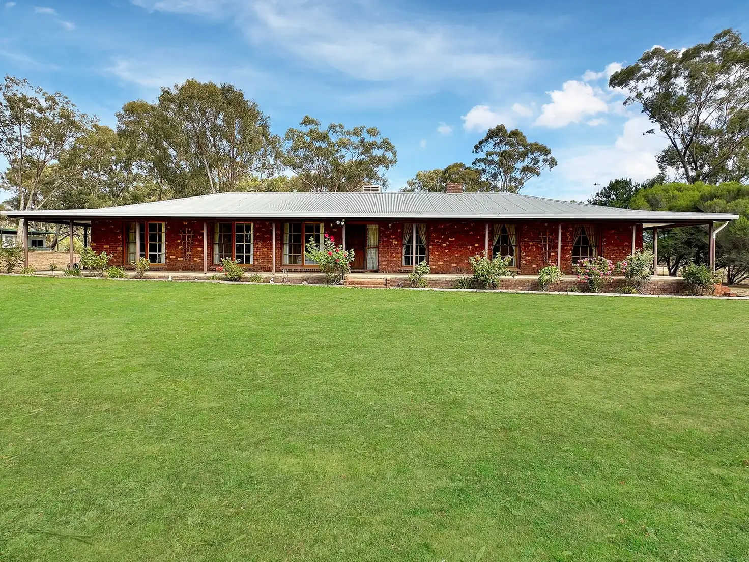 Main view of Homely house listing, 805 Maryborough - Dunolly Road, Havelock VIC 3465