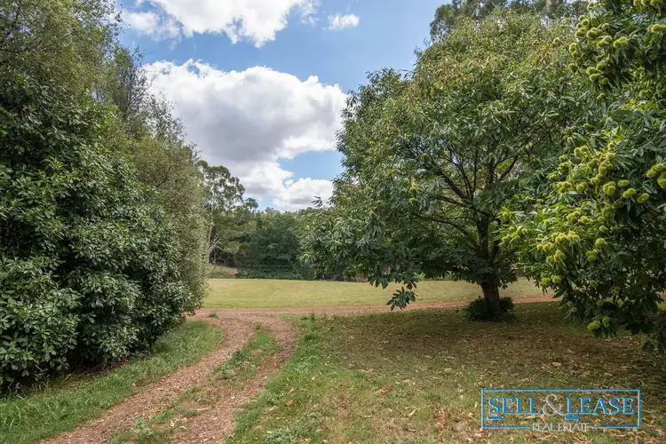 Third view of Homely house listing, 159 Monbulk-Seville Road, Silvan VIC 3795