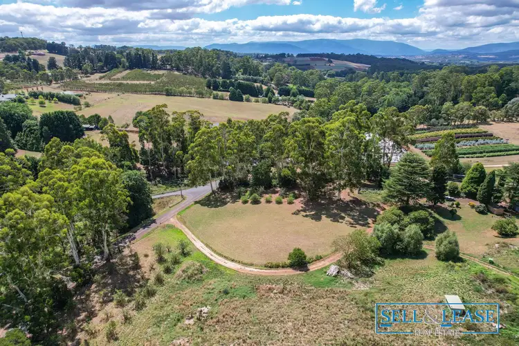 Fifth view of Homely house listing, 159 Monbulk-Seville Road, Silvan VIC 3795