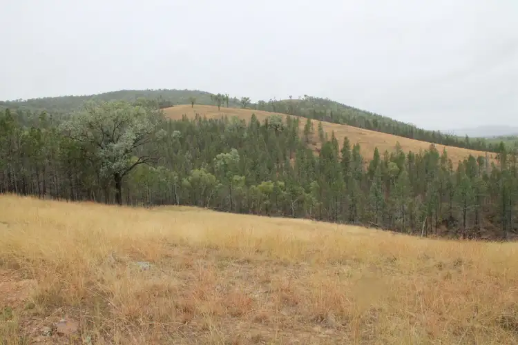 Sixth view of Homely rural property listing, Proposed Lot 22 Bruxner Way, Tenterfield NSW 2372
