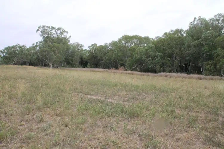 Fifth view of Homely rural property listing, Proposed Lots 21 and 23 Bruxner Way, Tenterfield NSW 2372