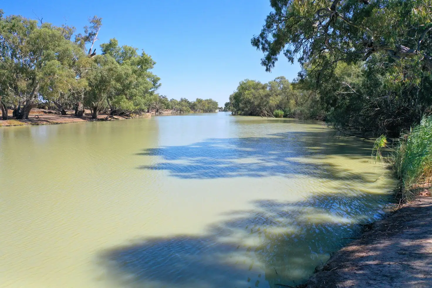 Main view of Homely land listing, Lot 16 Darling River Estate, Pomona Road, Wentworth NSW 2648