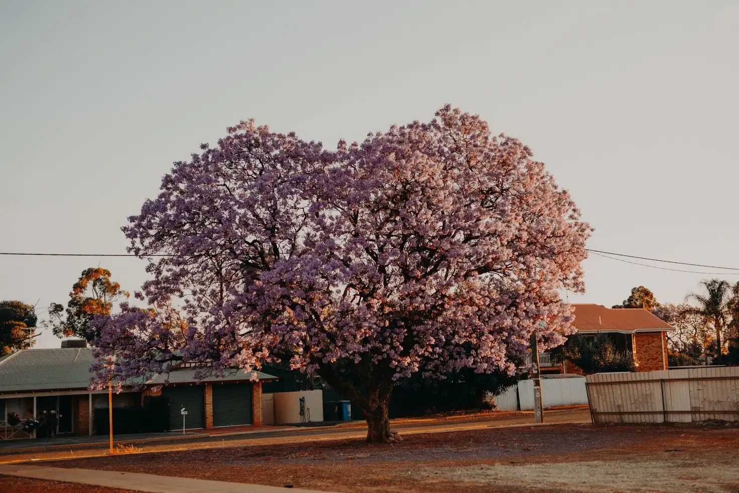Main view of Homely land listing, 20 Butler Street, Piccadilly WA 6430