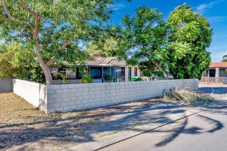 Second view of Homely house listing, 11 Quandong Place, Pinjarra WA 6208