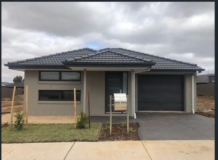 19 Ambervue Drive, Cobblebank VIC 3338