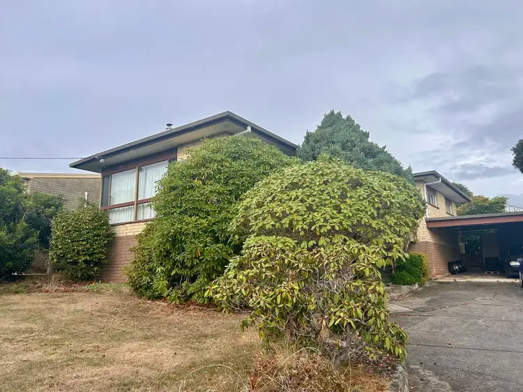 Main view of Homely house listing, 25 Van Diemens Crescent, Park Grove TAS 7320