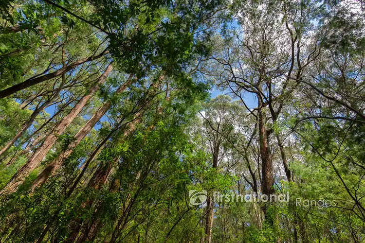 Third view of Homely land listing, 2780 Gembrook-Launching Place Road, Gembrook VIC 3783