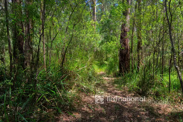 Fourth view of Homely land listing, 2780 Gembrook-Launching Place Road, Gembrook VIC 3783