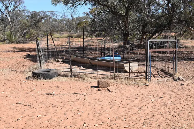 Third view of Homely rural property listing, Sections 13, 15 & 16 Goyder Highway, Pooginook SA 5330