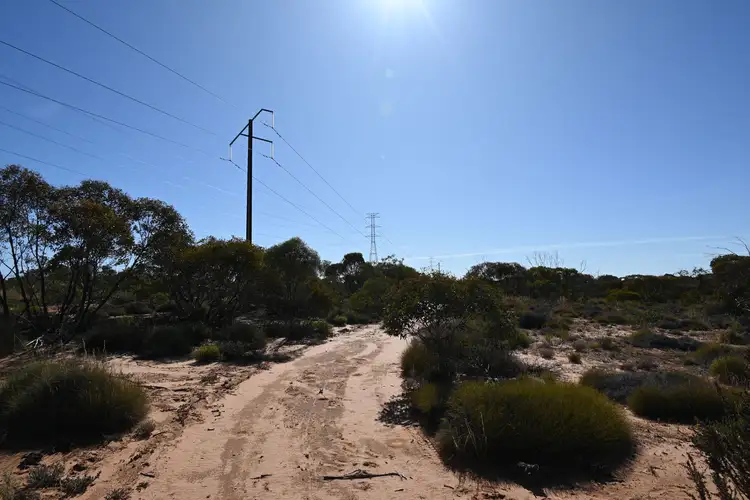 Fifth view of Homely rural property listing, Sections 13, 15 & 16 Goyder Highway, Pooginook SA 5330