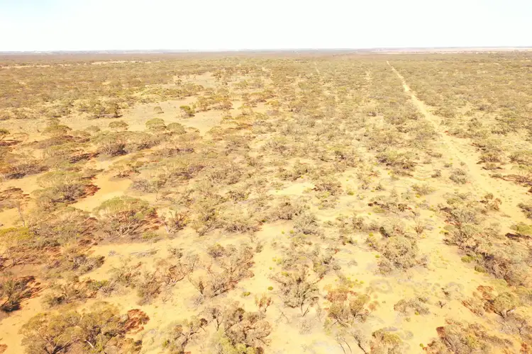 Sixth view of Homely rural property listing, Sections 13, 15 & 16 Goyder Highway, Pooginook SA 5330