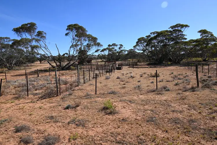 Seventh view of Homely rural property listing, Sections 13, 15 & 16 Goyder Highway, Pooginook SA 5330