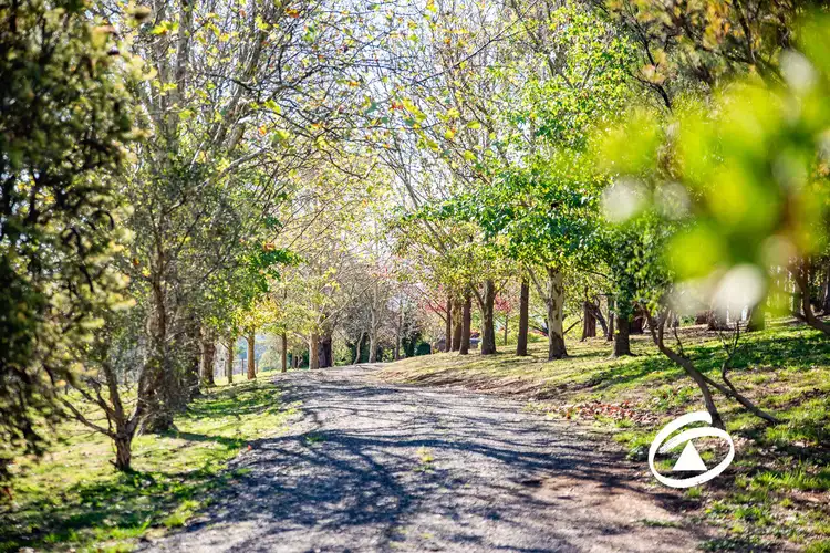 82 Beaumont Road, Berwick VIC 3806