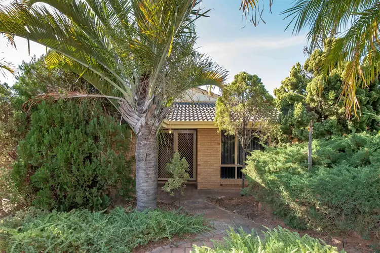 34 Harness Street, Kingsley WA 6026