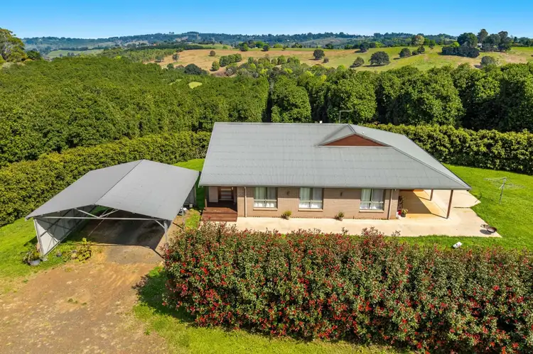 397 Duncan Road, Numulgi NSW 2480