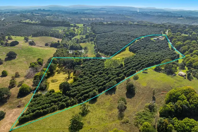 Second view of Homely rural property listing, 397 Duncan Road, Numulgi NSW 2480