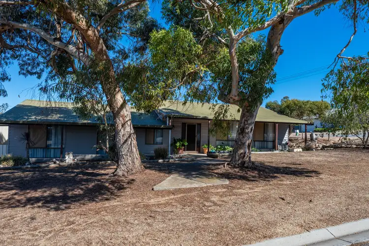 5 Belmont Crescent, Maitland SA 5573