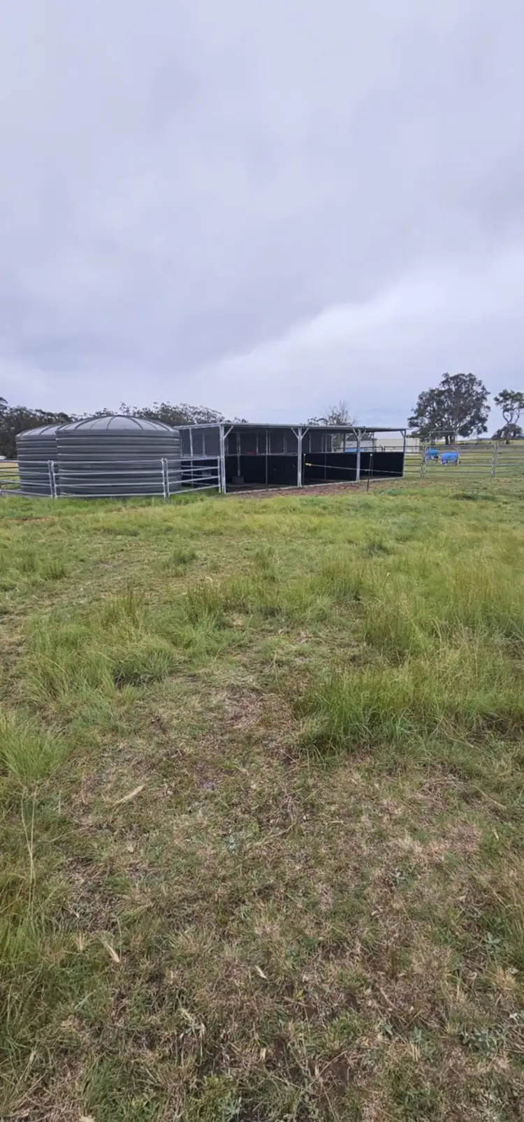 694 Sunnyside Loop Road, Tenterfield NSW 2372