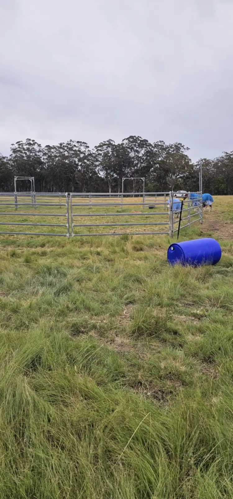 Fifth view of Homely land listing, 694 Sunnyside Loop Road, Tenterfield NSW 2372