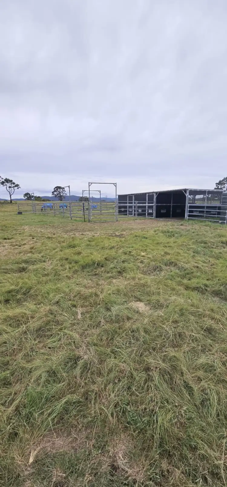 Seventh view of Homely land listing, 694 Sunnyside Loop Road, Tenterfield NSW 2372