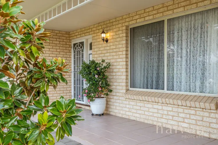 Third view of Homely house listing, 5 IBIS COURT, Geographe WA 6280
