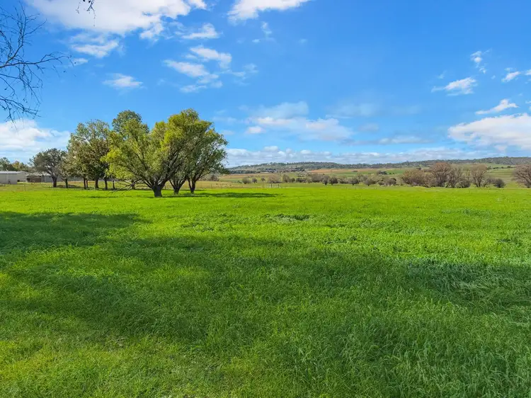 Fourth view of Homely rural property listing, 9312 New England Highway, Stonehenge NSW 2370