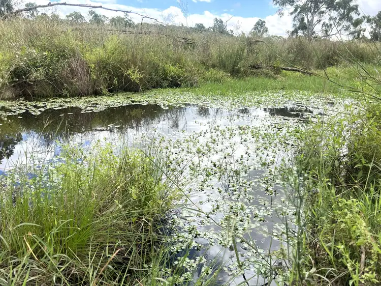 Third view of Homely rural property listing, 65 John Taylors Road, Gayndah QLD 4625