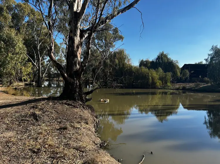 Second view of Homely land listing, 31 Vinecombe Lane, Barham NSW 2732