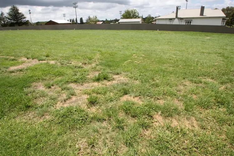 Sixth view of Homely land listing, 47 Duncan Street, Tenterfield NSW 2372